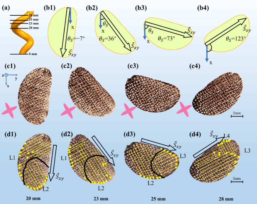 加拿大pc28预测(中国区)官方网站