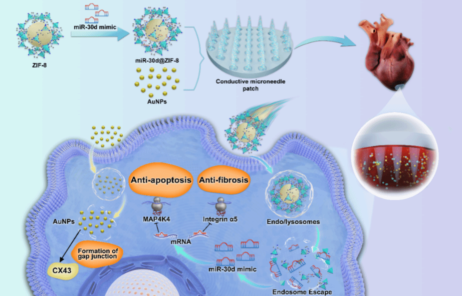 643BF0C69D95E00407C51852768_7D0A5431_29293