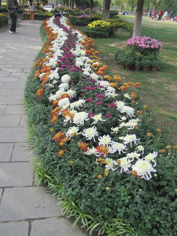 加拿大pc28预测(中国区)官方网站