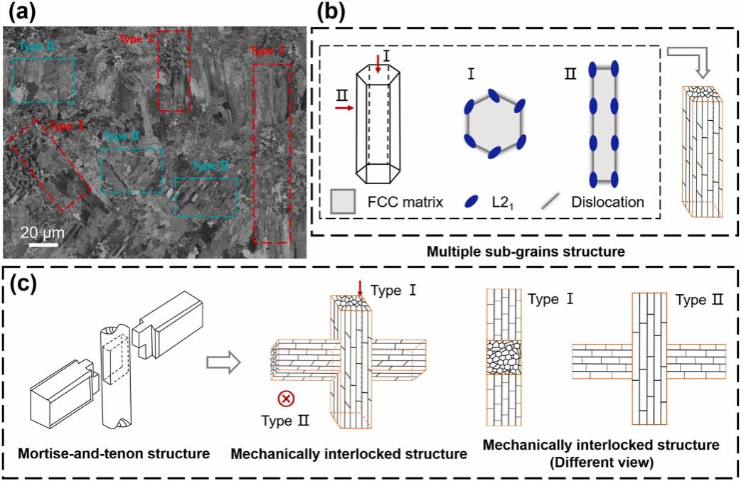 BA80E405EB1E93A938956011A86_8F5F8206_1FBB8