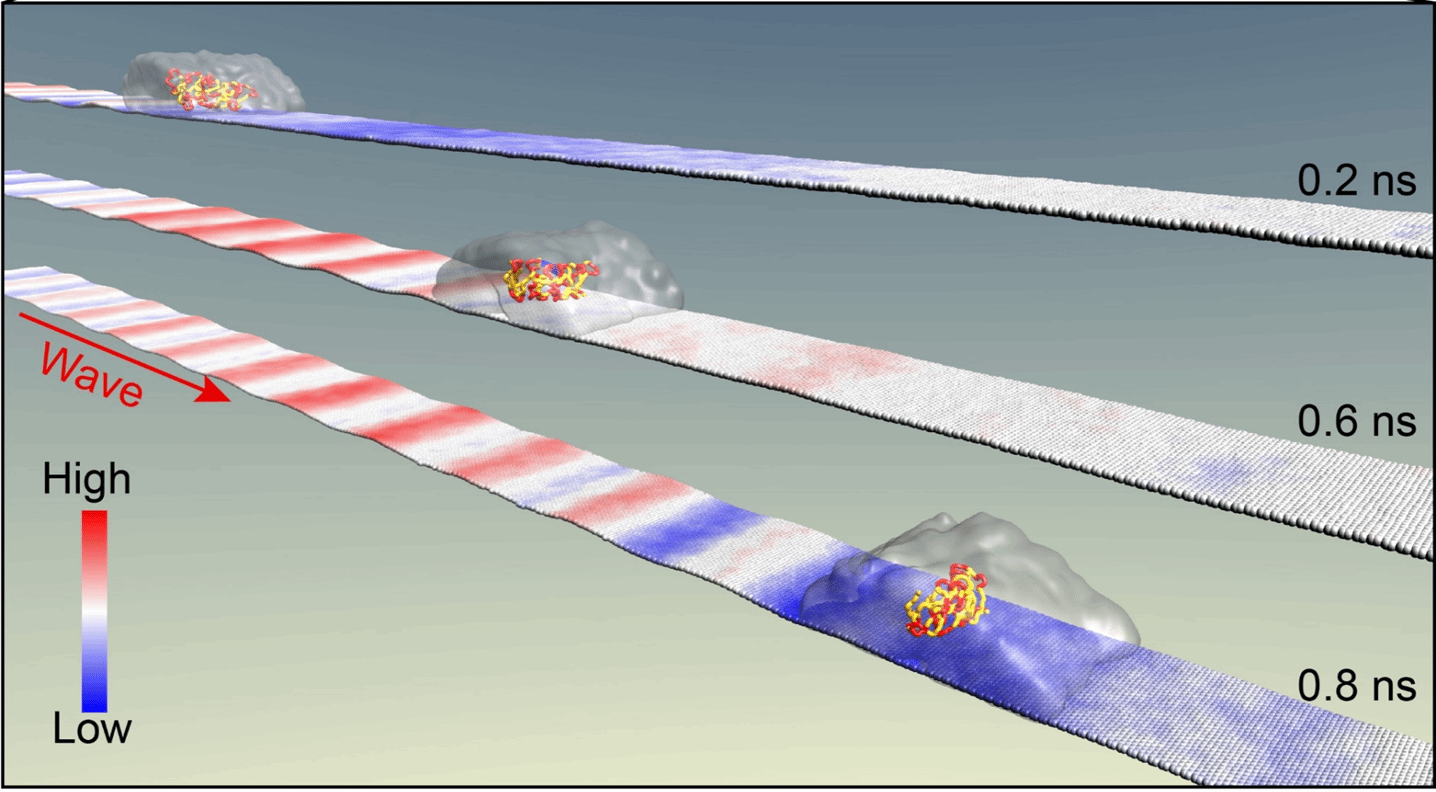 加拿大pc28预测(中国区)官方网站
