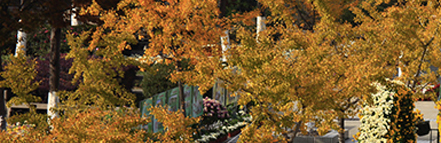 加拿大pc28预测(中国区)官方网站